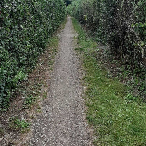 Gammel Grussti