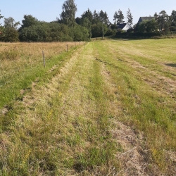 Etablering af grussti