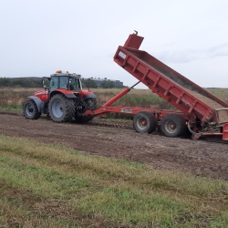 Etablering af grussti