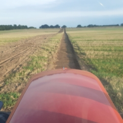 Etablering af grussti