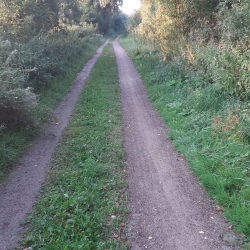 Renovering af grussti Fjordstien