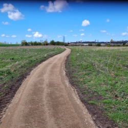 Nye stier i nyplantet skov