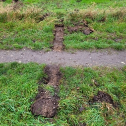 Nye stier langs åer