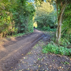 Genopretning af grusstier