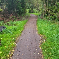 Genopretning af grusstier