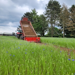 Anlægning af ny sti