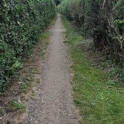 Etablering af grussti