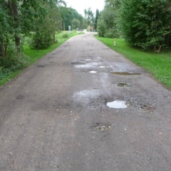 Etablering af skovsti