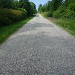 Etablering af skovsti