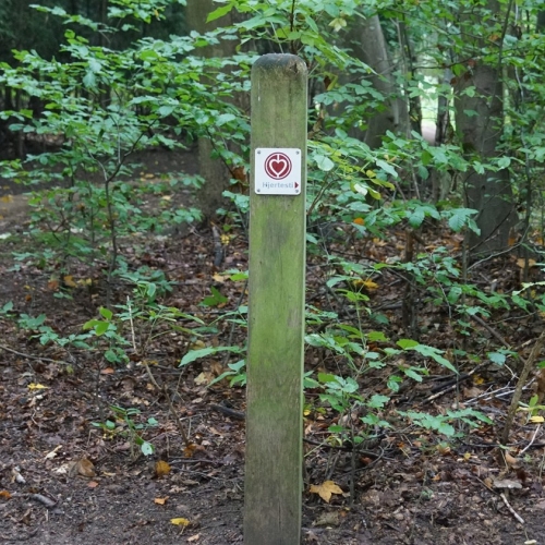 Vedligeholdelse af skovstier