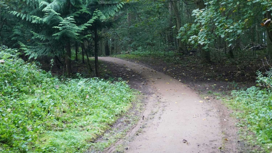 skovsti